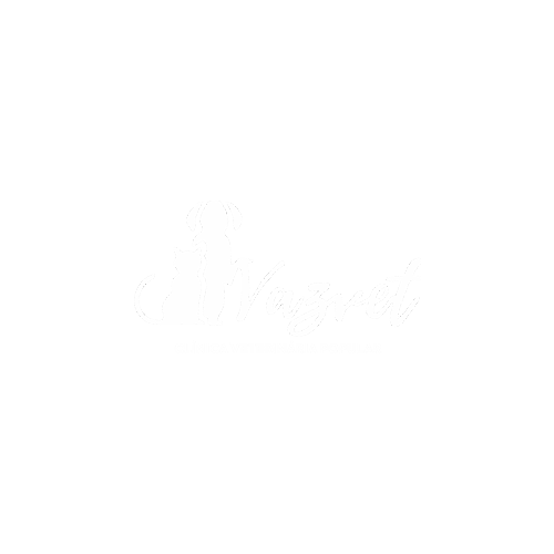10.png