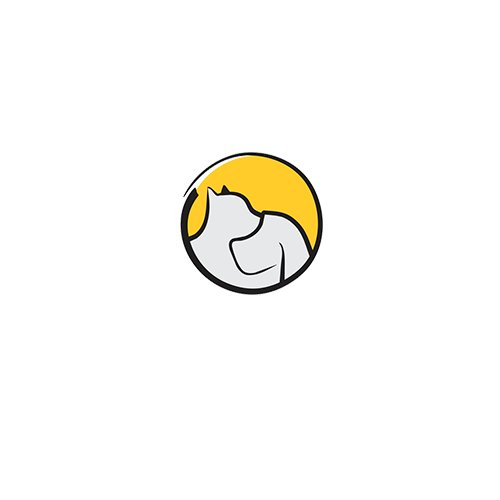 31.png